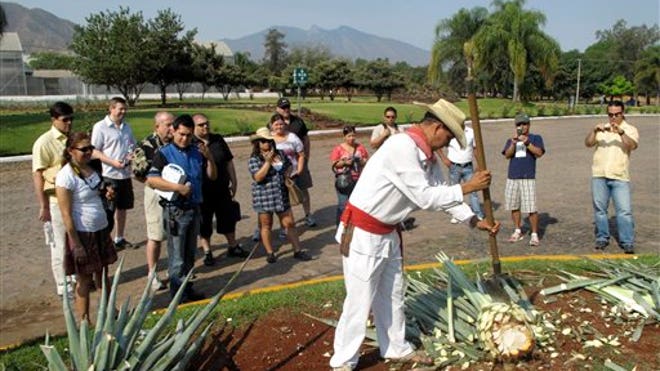 tequila tourism